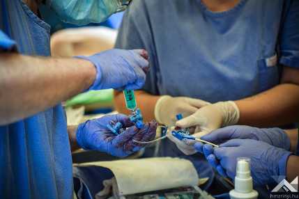 66daf98045c79426945775