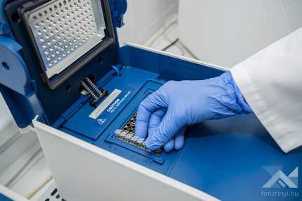 Fotózás a KEHOP kisfüzethez  KLAC3939