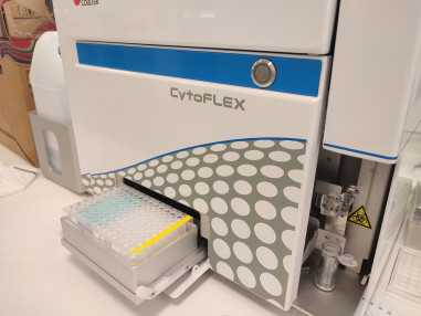 Covidea_plateloader2